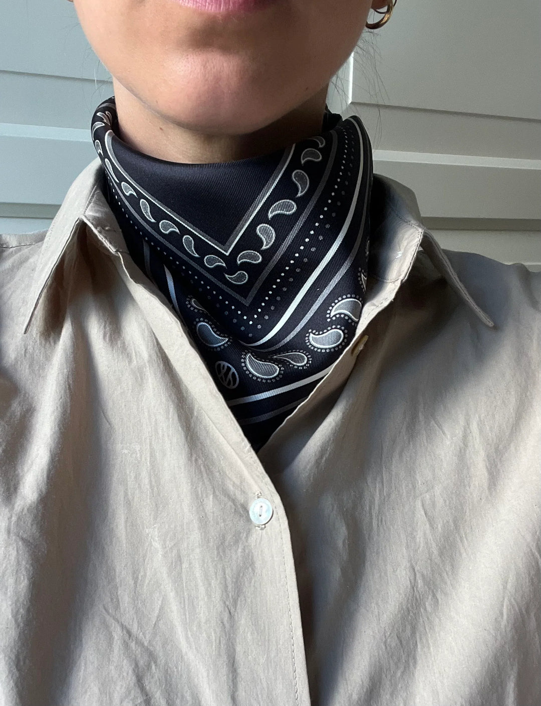 Lescarf - Foulard Paisley
